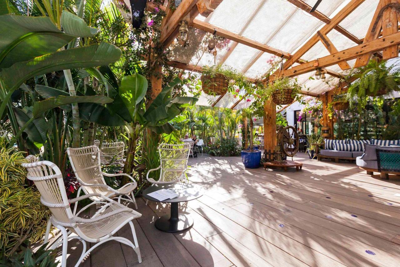 Apartamento Sara En Playa De Las Americas - Sara Vacation アロナ エクステリア 写真